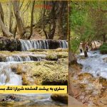 سفری به بهشت گمشده شیراز؛ تنگ بستانک مرودشت + راهنمای کامل سفر