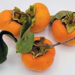 خرمالو ودیابت / میوه پاییزی مفید اما پرقند + جایگزین‌ های سالم دیابتی‌ها