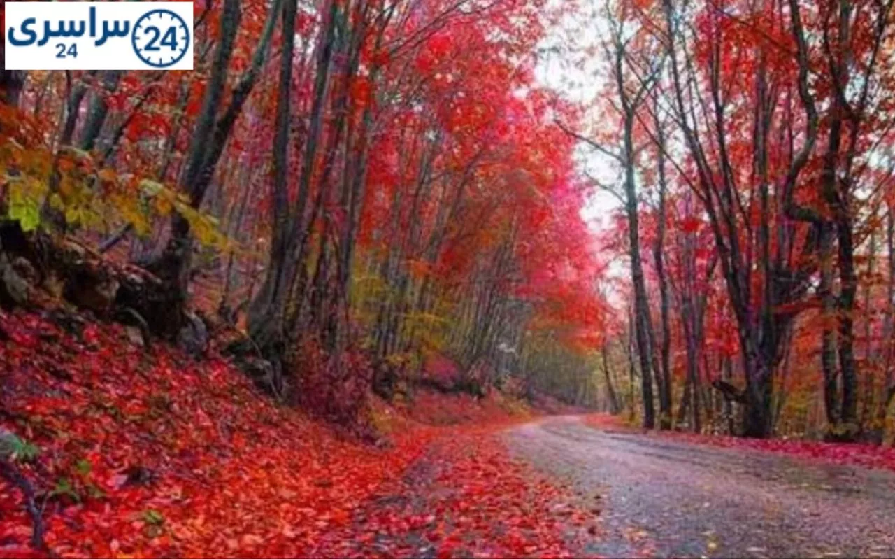 ۱۰ لوکیشن زیبایِ گیلان در پاییز+راهنمای سفر پاییزی+بهترین مقصد عکاسی شمال