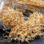 جوانه گندم برای چاقی صورت و بدن + طبع و خواص