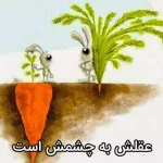 کاربرد ضرب المثل "عقلش به چشمش است" + معنی و داستان
