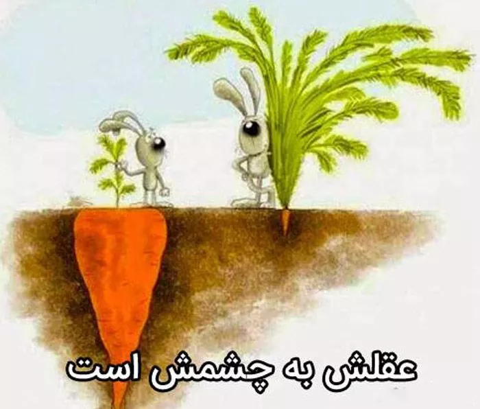 کاربرد ضرب المثل "عقلش به چشمش است" + معنی و داستان