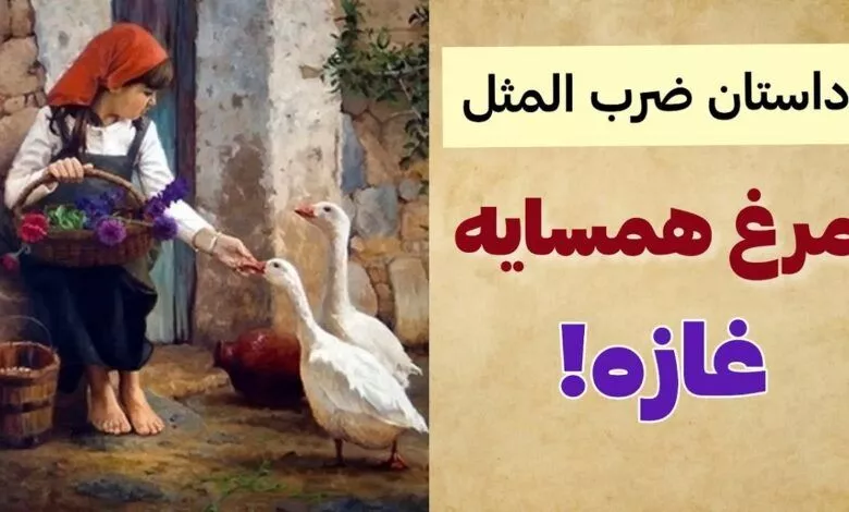 کاربرد ضرب المثل "مرغ همسایه غاز است" + حکایت و معنی