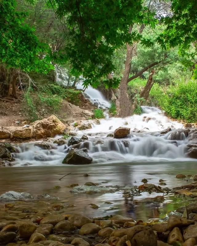 آشنایی با بهشت گمشده شیراز
