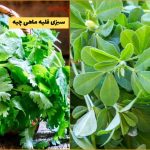 سبزی قلیه ماهی چیه ؟ سبزی مخصوص قلیه‌ماهی