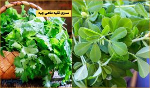 سبزی قلیه ماهی چیه ؟ سبزی مخصوص قلیه‌ماهی