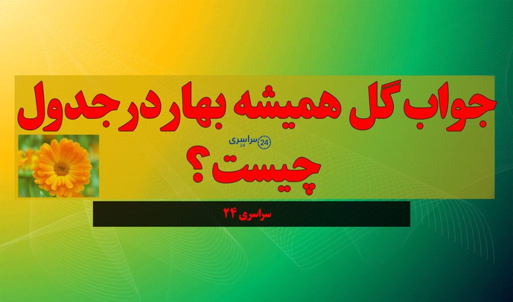 جواب گل همیشه بهار در جدول چیست؟ پاسخ کامل معما سراسری ۲۴
