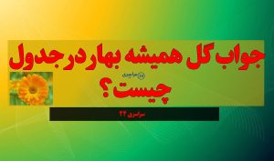 جواب گل همیشه‌ بهار در جدول چیست؟ پاسخ کامل معما سراسری ۲۴