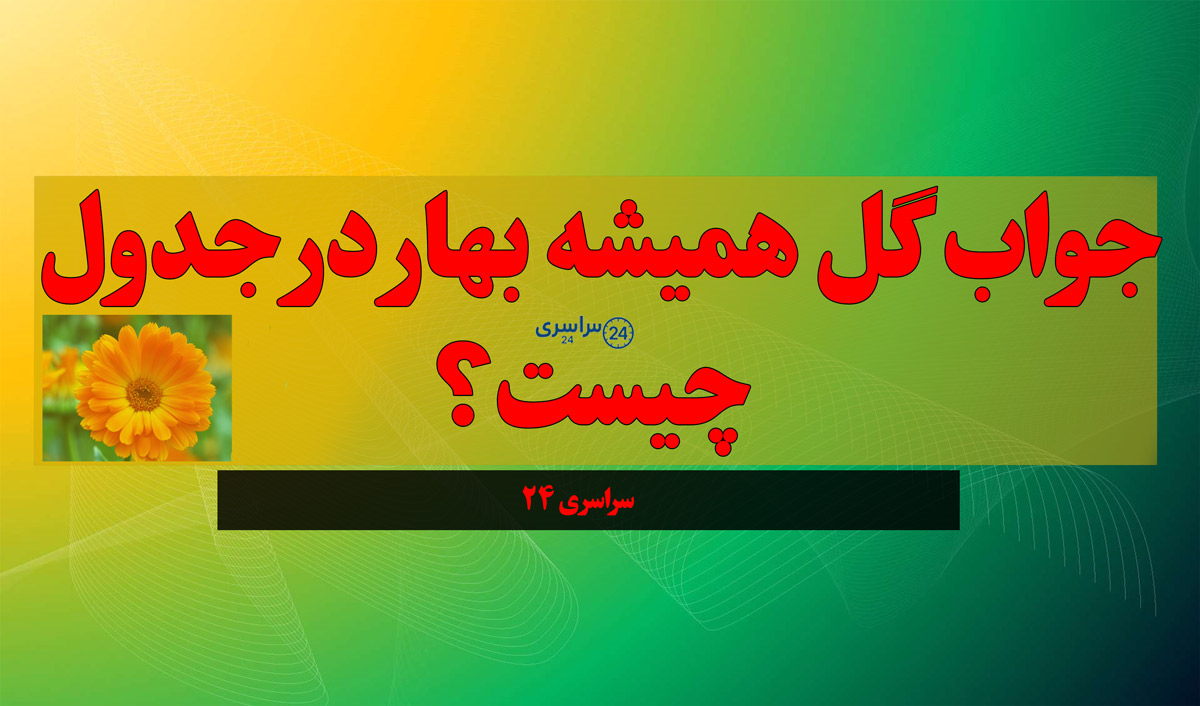 جواب گل همیشه‌ بهار در جدول چیست؟ پاسخ کامل معما سراسری ۲۴