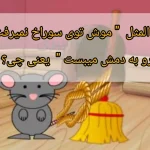 ضرب المثل "موش توی سوراخ نمیرفت جارو به دمش میبست" + شعر و داستان