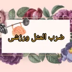 چند ضرب المثل در مورد ورزش و تندرستی + معنی