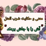 معنی و مفهوم ضرب المثل " آش را با جاش بردند" + حکایت