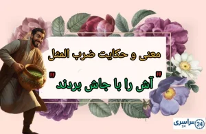 معنی و مفهوم ضرب المثل " آش را با جاش بردند" + حکایت