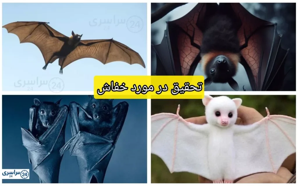 تحقیق در مورد خفاش + نقش خفاشها در حفظ تعادل اکولوژی و کشاورزی