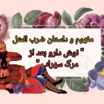 تحلیل و مفهوم ضرب المثل " نوش دارو بعد از مرگ سهراب " + داستان و شعر