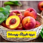میوه شبرنگ چیست؟ + تفاوت آن با شلیل چیه؟