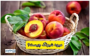 میوه شبرنگ چیست؟ + تفاوت آن با شلیل چیه؟