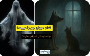 کدام حیوان توانایی دیدن اجنه را دارد؟ + راز عجیب نگاه گربه‌ها و زوزه سگ‌ها