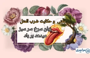 حکایت + معنی ضرب المثل زبان سرخ سر سبز میدهد بر باد