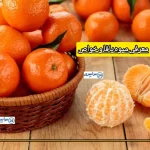 معرفی میوه یافا + خواص فوق العاده یافا و تفاوت با نارنگی