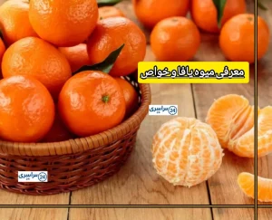 معرفی میوه یافا + خواص فوق العاده یافا و تفاوت با نارنگی