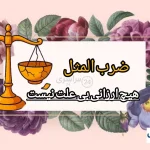ضرب المثل هیچ ارزانی بی علت نیست +مفهوم و انشا و شعر