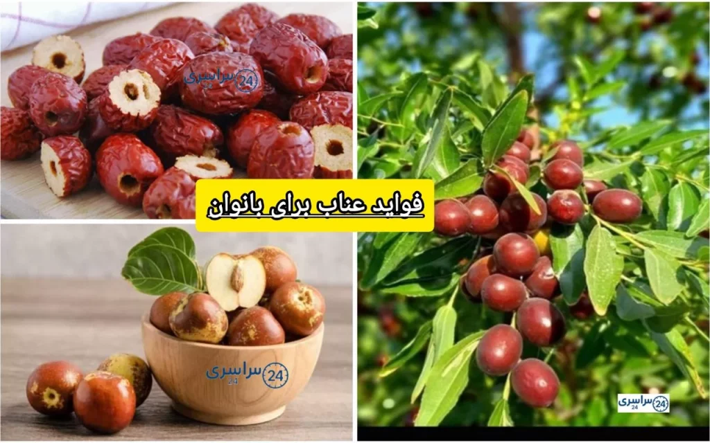 خواص عناب برای زنان + روش مصرف
