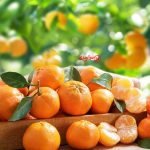 خواص نارنگی ناشتا؛ همه فواید و هشدارهای مهم