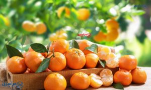 خواص نارنگی ناشتا؛ همه فواید و هشدارهای مهم