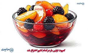 کمپوت اولین بار در کدام کشور اختراع شد + تاریخچه