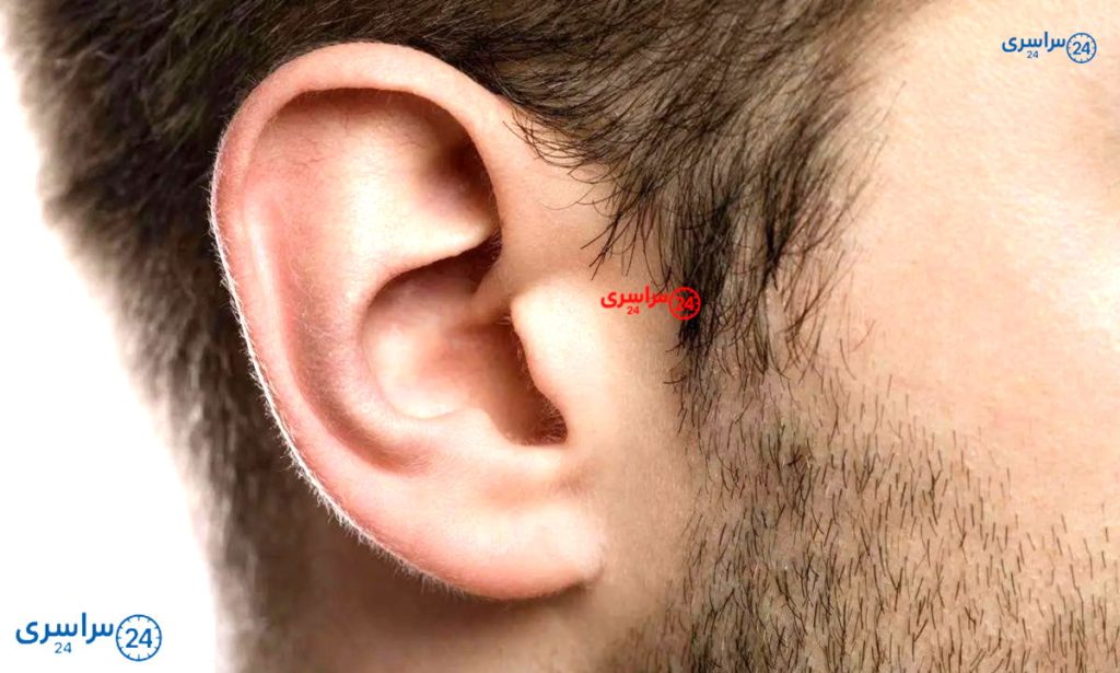 نقش لاله گوش در شنیدن صدا | گوش چگونه صدا را میشنود؟