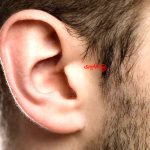 نقش لاله گوش در شنیدن صدا | گوش چگونه صدا را می‌شنود؟