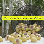 هواشناسی استهبان - فارس | پیش‌بینی آب‌وهوا امروز، فردا و ۱۰ روز آینده Estahban