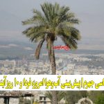 هواشناسی جهرم | پیشبینی آبوهوا امروز، فردا و ۱۰ روز آینده ⛅ jahrom