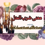 معنی ضرب المثل دست بالای دست بسیار است + ریشه و کاربردهای روزانه