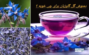 دمنوش گل گاوزبان برای چی خوبه + بهترین زمان مصرف و ترکیب های عالی برای تقویت اعصاب