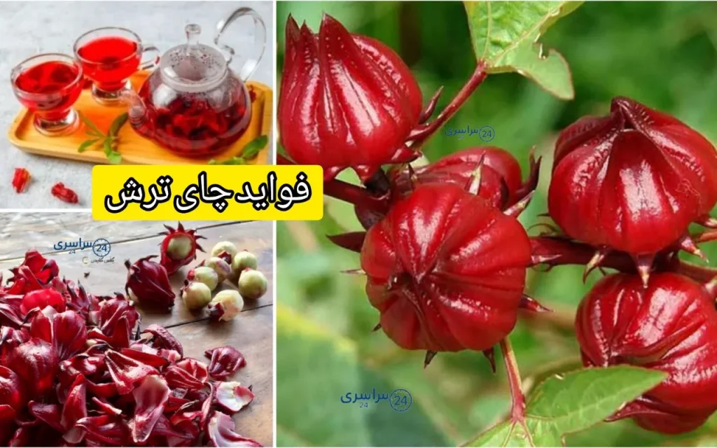 فواید چای ترش + آموزش بهترین روش مصرف برای فشار خون و لاغری