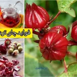 فواید چای ترش + آموزش بهترین روش مصرف برای فشار خون و لاغری