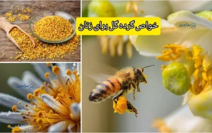 خواص گرده گل برای زنان + بهترین روش مصرف برای هورمون ها