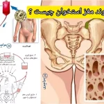 پیوند مغز استخوان چیست ؟ + تمامی مراحل درمان