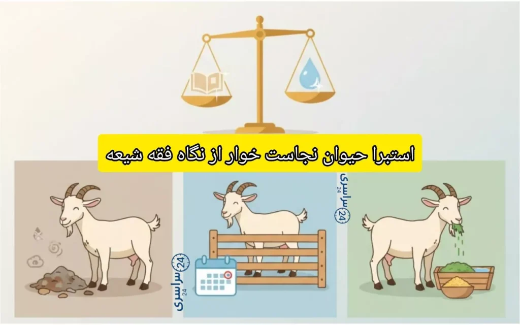 استبرا حیوان نجاست خوار از نگاه فقه شیعه