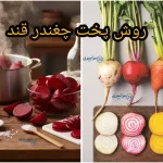 روش پخت چغندر قند با فوت و فن + فرق پخت چغندر سفید و لبو