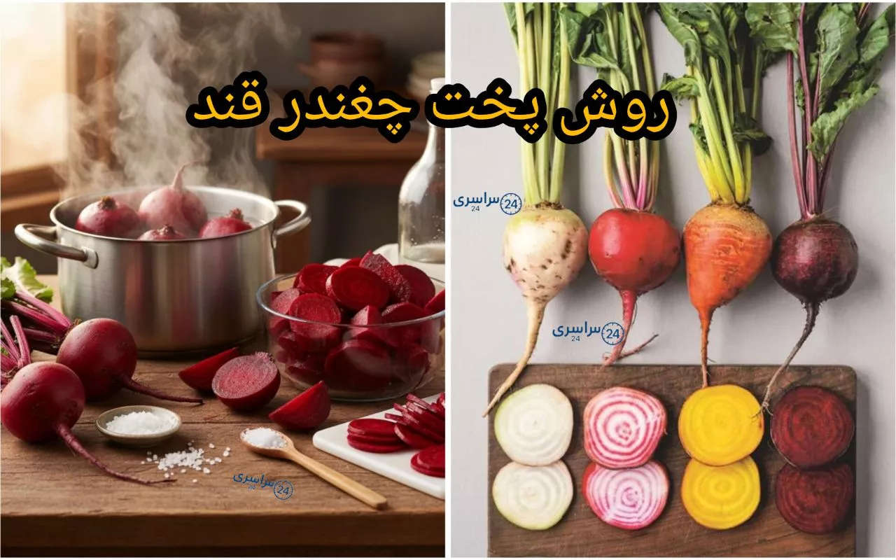 روش پخت چغندر قند با فوت و فن + فرق پخت چغندر سفید و لبو