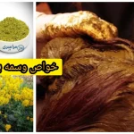 خواص وسمه برای مو + آیا برای موهای سفید هم خوب است؟