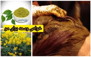 خواص وسمه برای مو + آیا برای موهای سفید هم خوب است؟