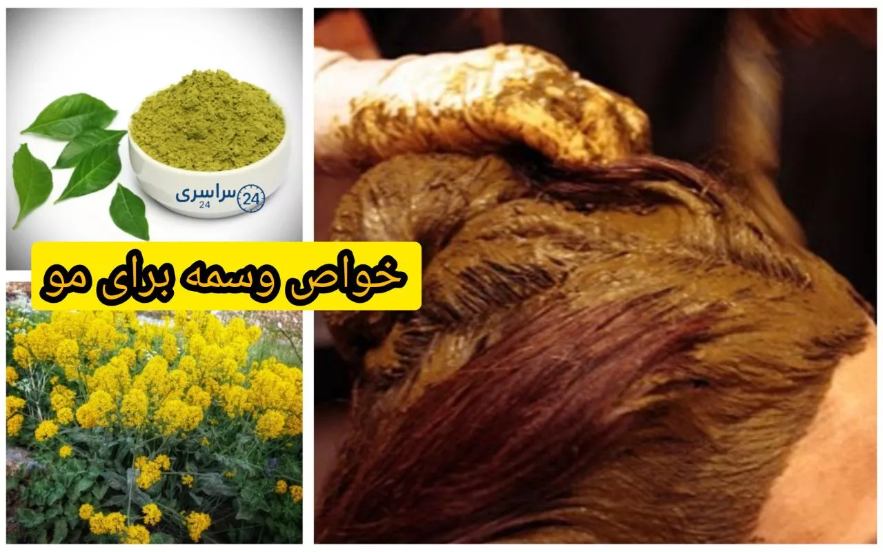 خواص وسمه برای مو + آیا برای موهای سفید هم خوب است؟