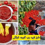 طرز تهیه رب گوجه فرنگی خانگی ؛ رنگ و طعم عالی + فوت و فن کپک نزدن