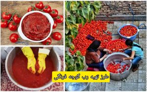 طرز تهیه رب گوجه فرنگی خانگی ؛ رنگ و طعم عالی + فوت و فن کپک نزدن