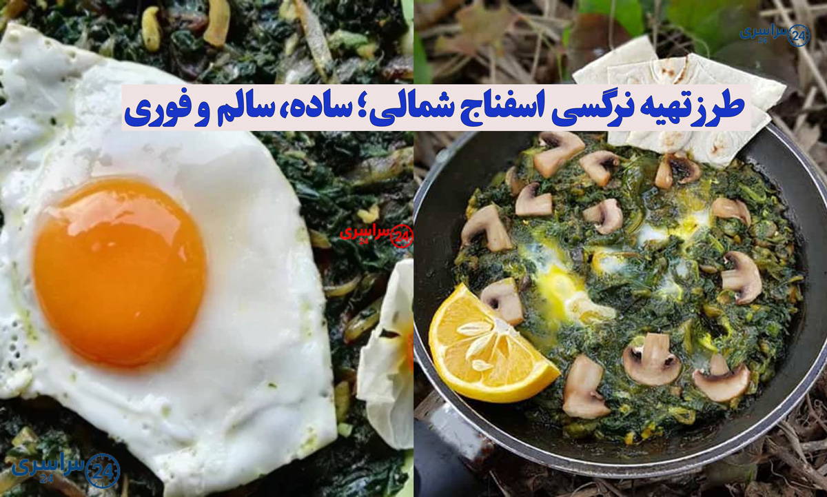 طرز تهیه نرگسی اسفناج با قارچ و گردو؛ یک غذای سبک اما سیرکننده