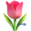 🌷